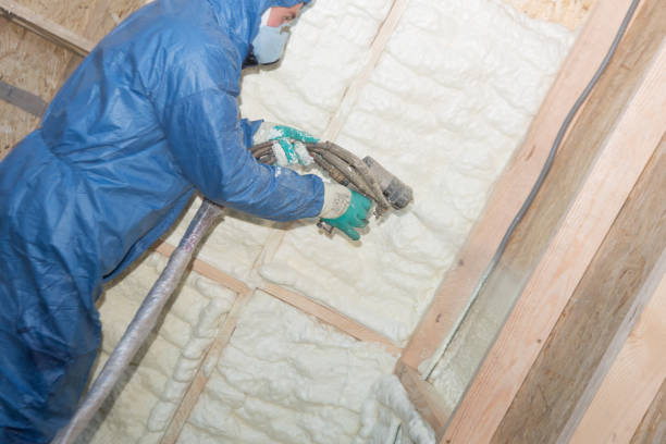 Best Thermal Imaging for Insulation Gaps  in Nash, TX